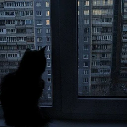 night