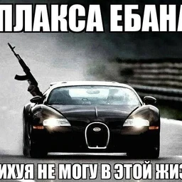 studentochka