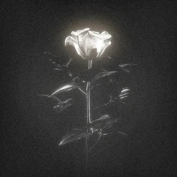 ROZES