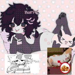 xddcute