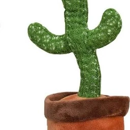 mexican