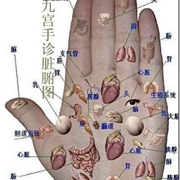 eskort35
