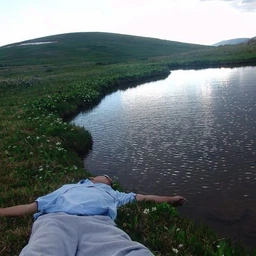 мастер свифтер_*plagg