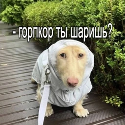466