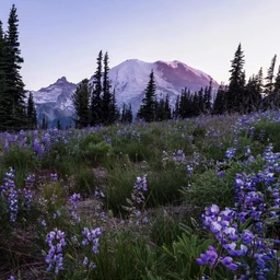 Mountains