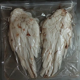 yobai