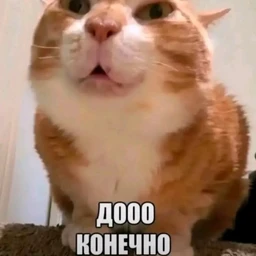 do 150D#