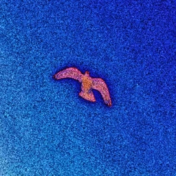 flupo