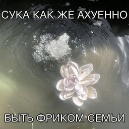 Рассвет