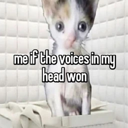 headvoices