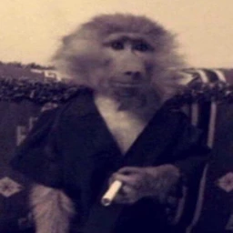 n3wdosh1