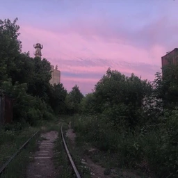композиция джидифлаг флекстрек