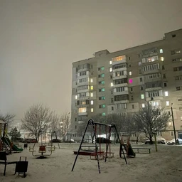 коллекционирую собак