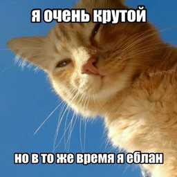 surochekkqq