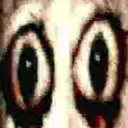 ?̸̅͗͆͋͆͑̓͗̌̇̍̎̒̊͋̾̏̑͂̀̑͛̿̽̈́̕͝͠