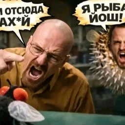 ffp71