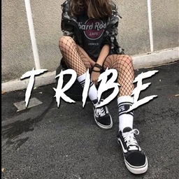 Tribe
