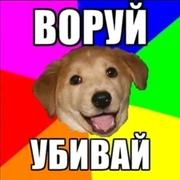 ПРЯЧУБОШКИКАКСТРАУС/ВМОЗГУОМУТ