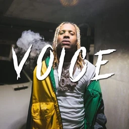 Voice