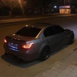 южный фак