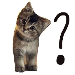 qq