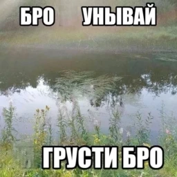 вам звонит урал гайсин (450hz)