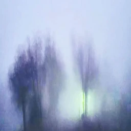 Echo's rising