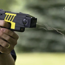 THE STUN GUN