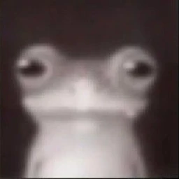 IP
