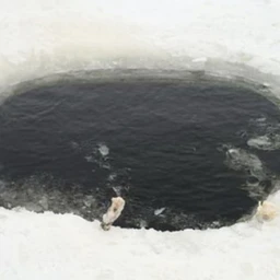 ПРОРУБЬ