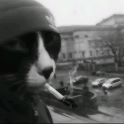 дерьмо не для белых