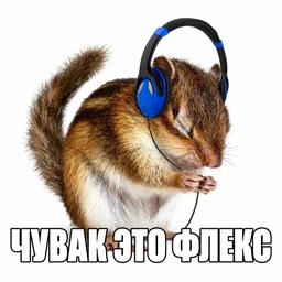 Я люблю тебя москва