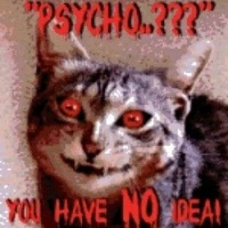 b00m